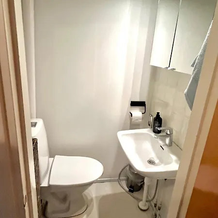 Keskusta 10 Min, Saehkoeauton Lataus, Vapaa Pysaekoeinti *