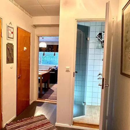 Keskusta 10 Min, Saehkoeauton Lataus, Vapaa Pysaekoeinti *