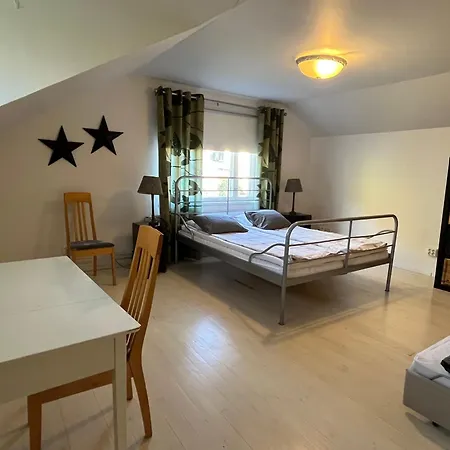Keskusta 10 Min, Saehkoeauton Lataus, Vapaa Pysaekoeinti Appartement