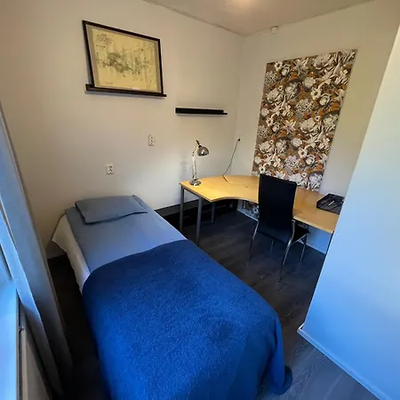Keskusta 10 Min, Saehkoeauton Lataus, Vapaa Pysaekoeinti Appartement *